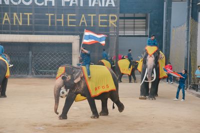 โรงเรียนปรีชานุศาสน์
